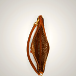 Ralph Lauren Polo ID Eyelet Hybrid Shoulder Bag Beige ZDNU36105